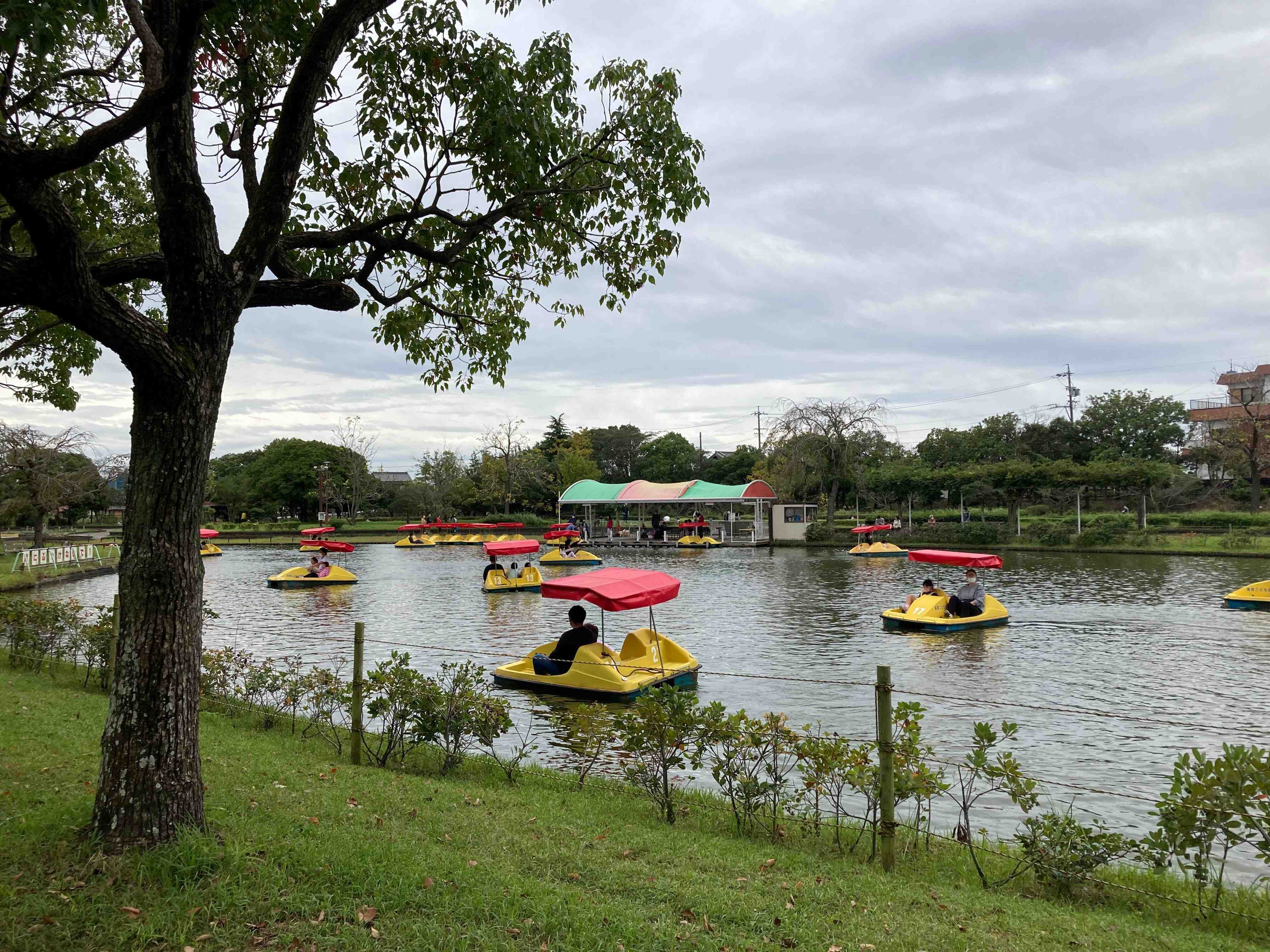 🌳 카이난 어린이의 나라 (카이난 코도모노쿠니) 이미지 5